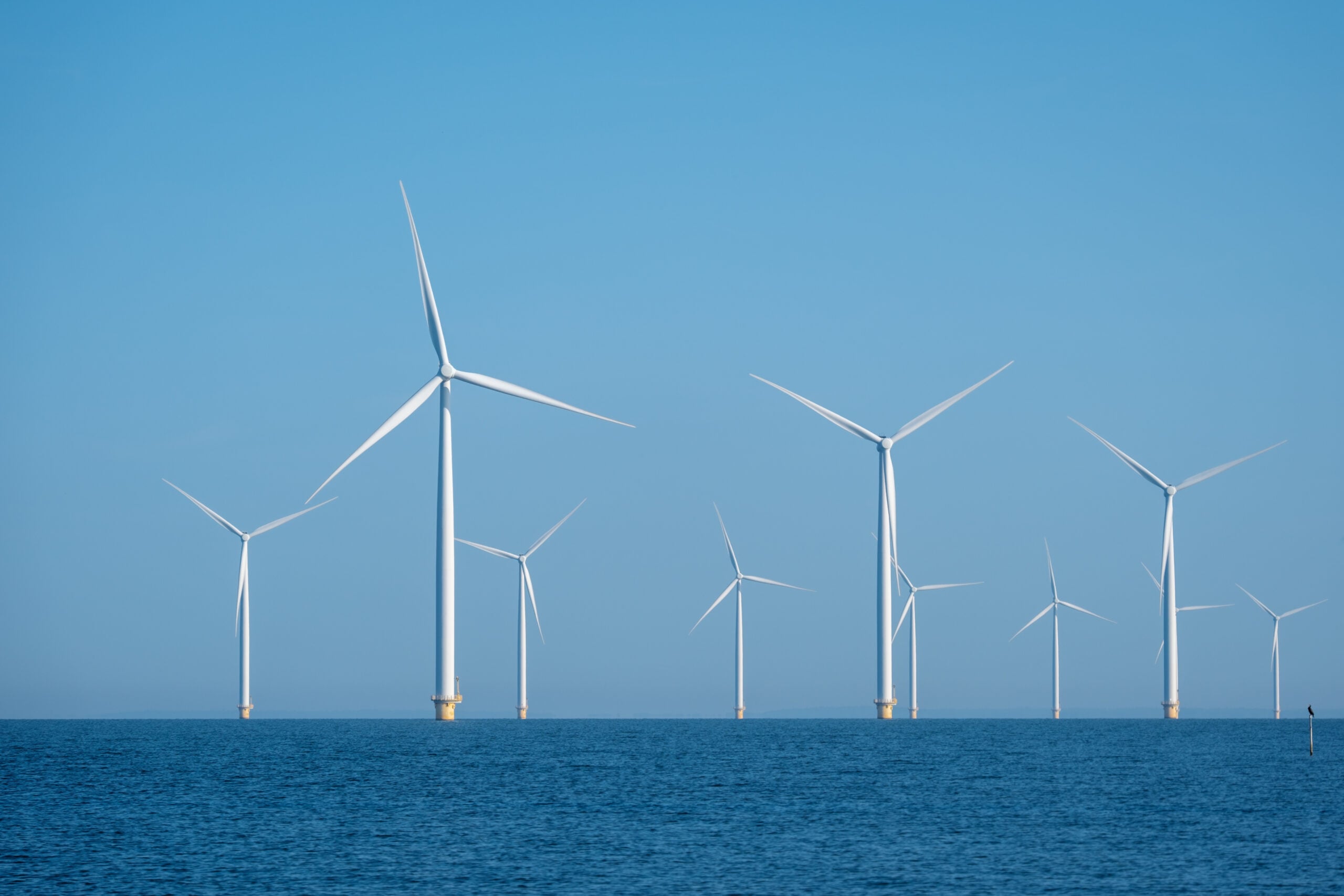 Berwick Bank: World’s Largest Offshore Wind Farm Approved in Scotland